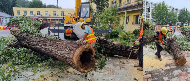 迎“風(fēng)”而上筑屏障 聞“汛”而動(dòng)守平安